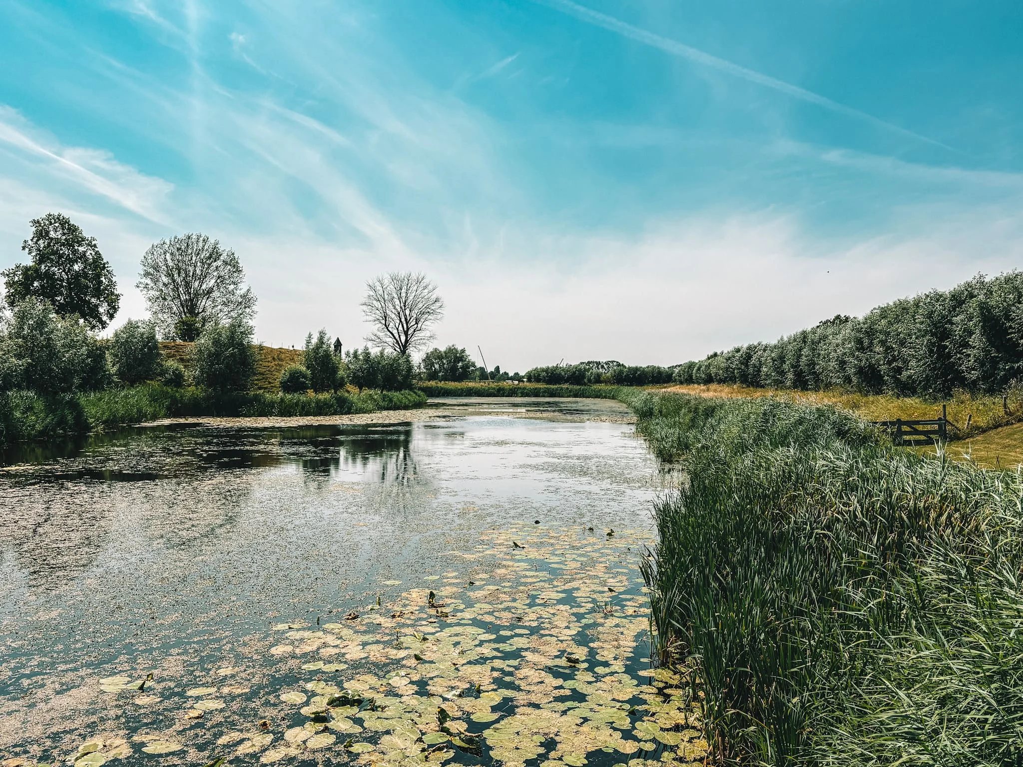 De mooiste natuurhuisjes van Nederland - 2x Tips
