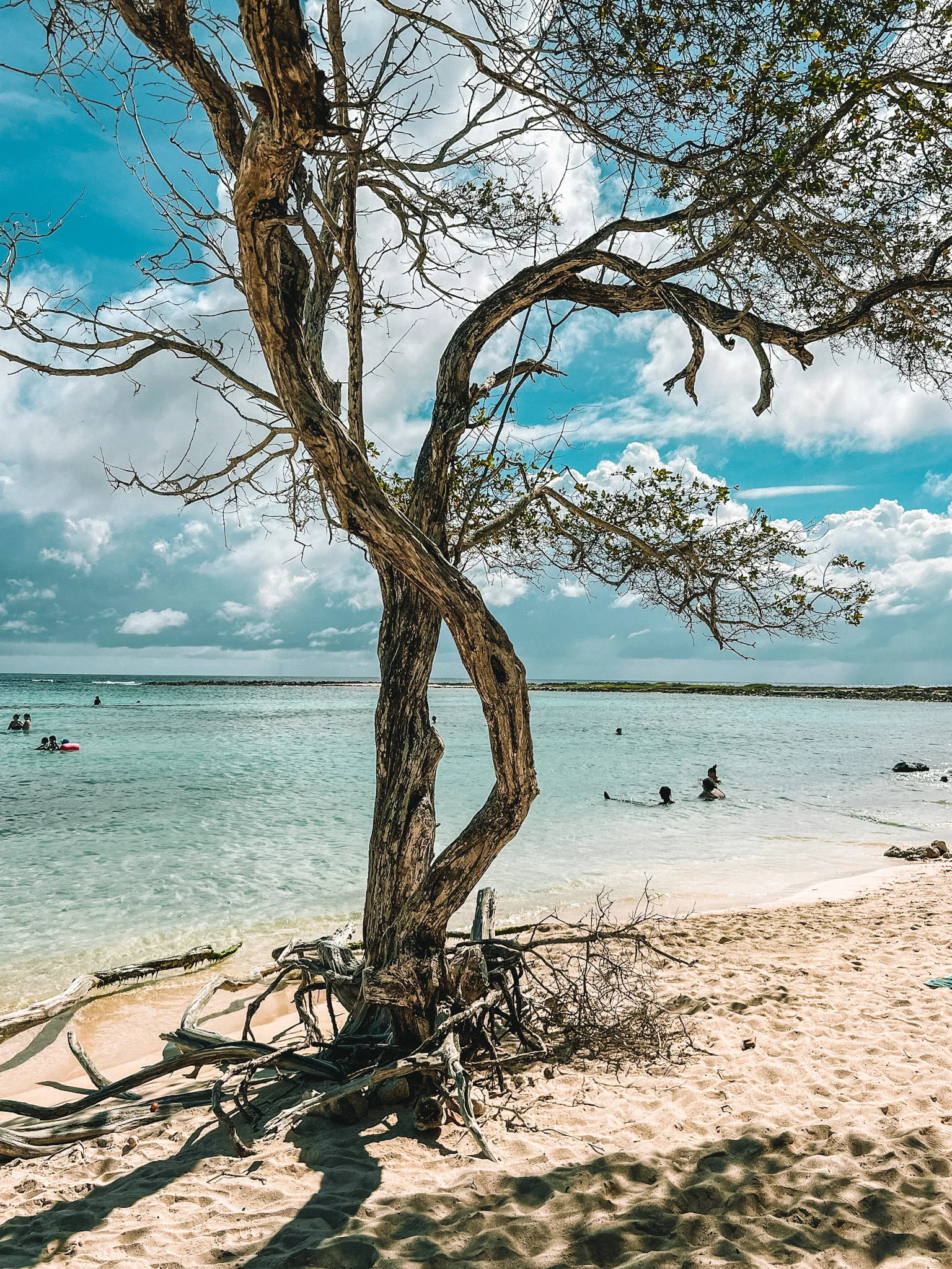 De mooiste stranden van Aruba: 6x Tips!