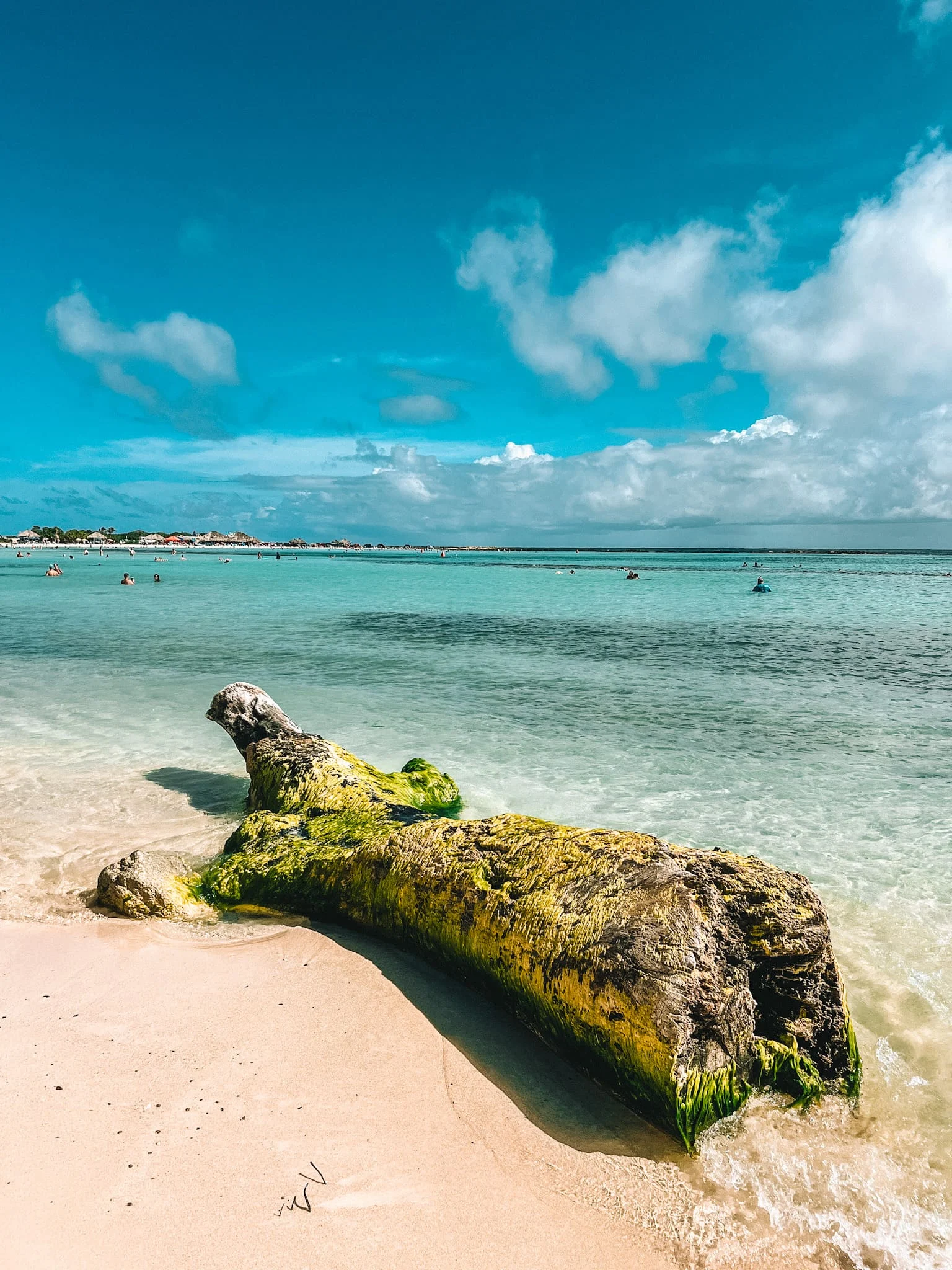 De mooiste stranden van Aruba: 6x Tips!