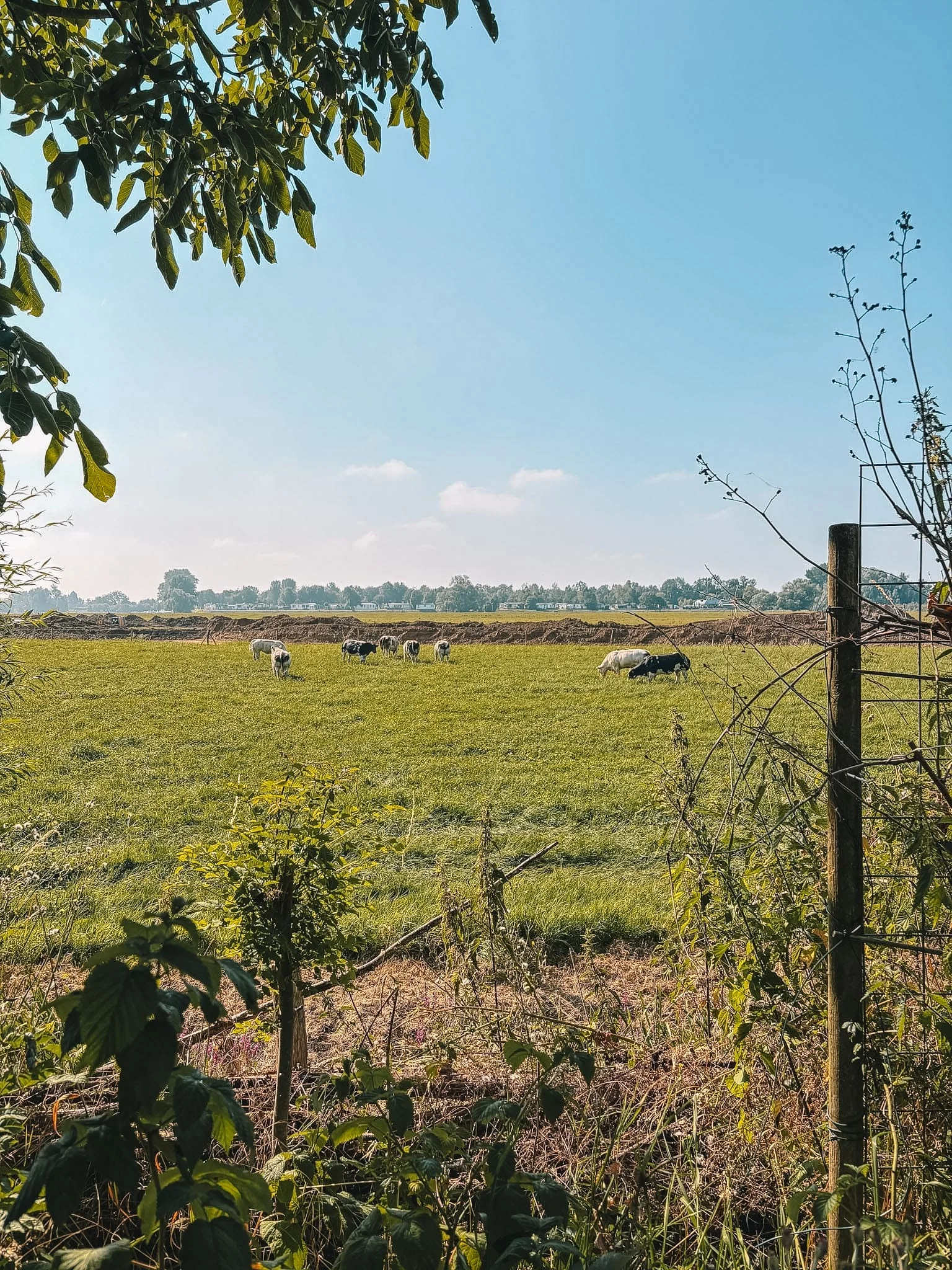 De mooiste natuurhuisjes van Nederland - 2x Tips