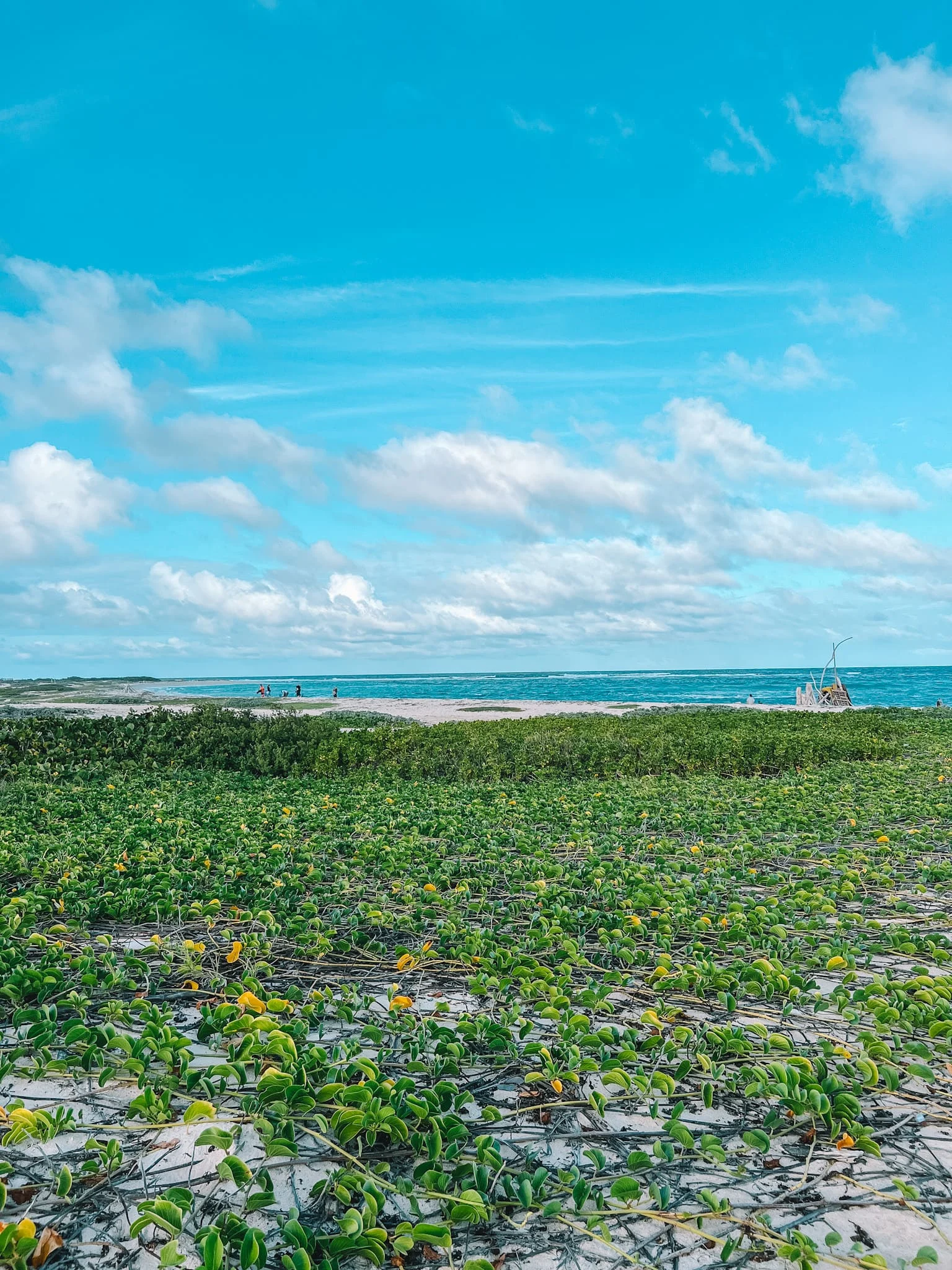 De mooiste stranden van Aruba: 6x Tips!