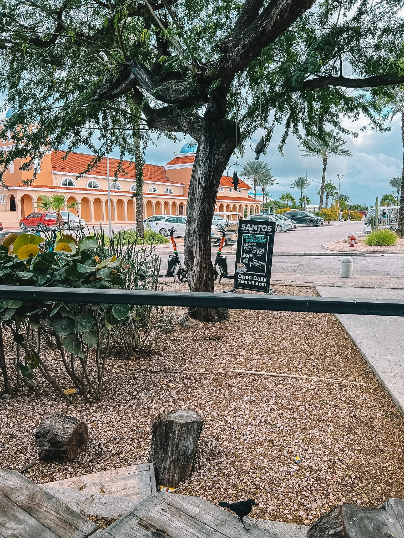 Waar eten en drinken op Aruba? 15x Tips! Waar eten en drinken op Aruba? 15x Tips!