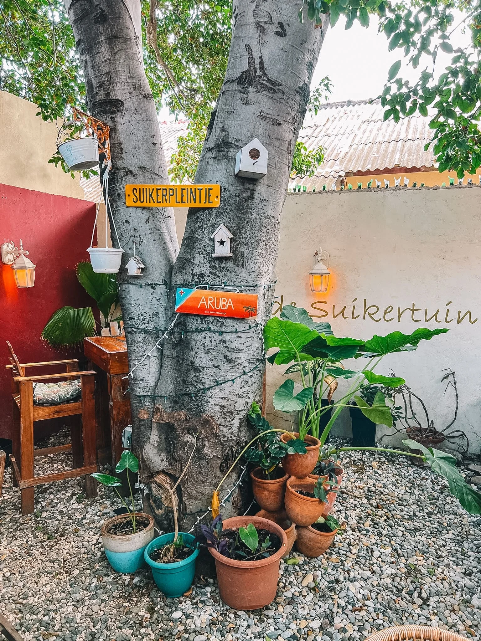 Waar eten en drinken op Aruba? 15x Tips! Waar eten en drinken op Aruba? 15x Tips!
